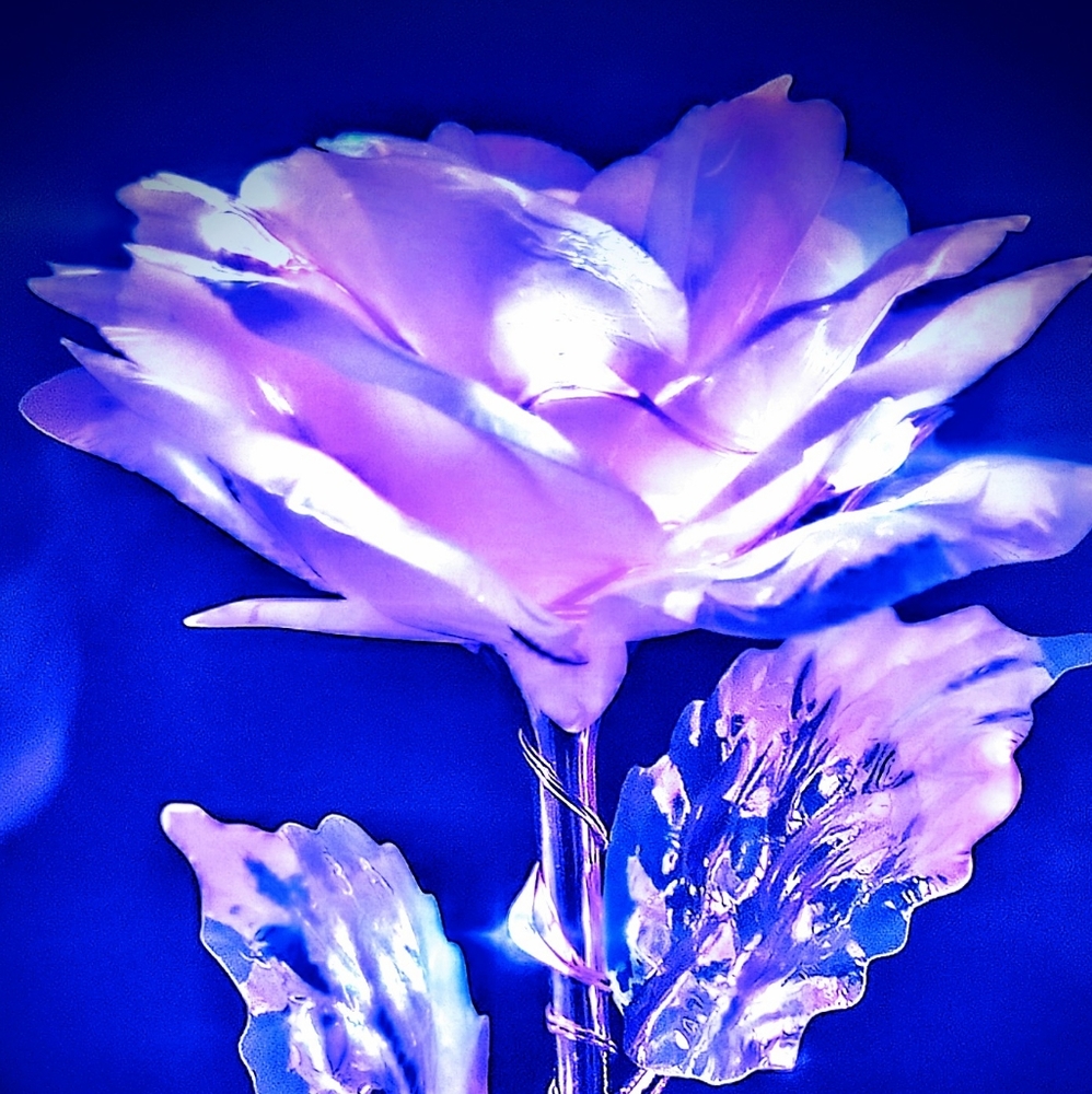 Flowers - Picture 3 of 7